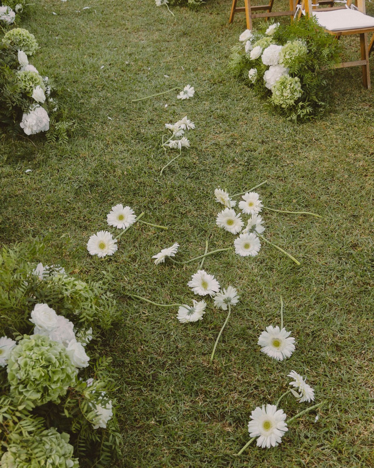 flores esparcidas sobre el césped